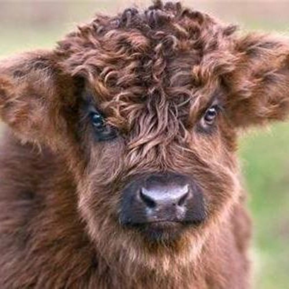 Meet your Posher, Paul